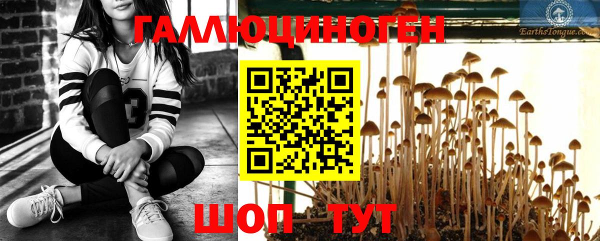 Нижний Новгород  Псилоцибиновые грибы Magic Shrooms  где купить наркоту  Вход с VPN  Псилоцибиновые грибы Psilocybine cubensis 